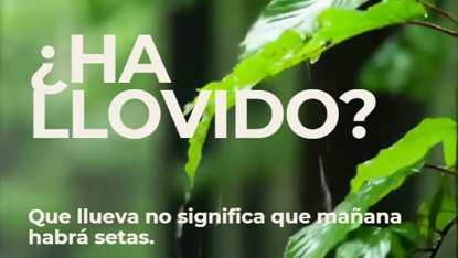 Imagen6.png