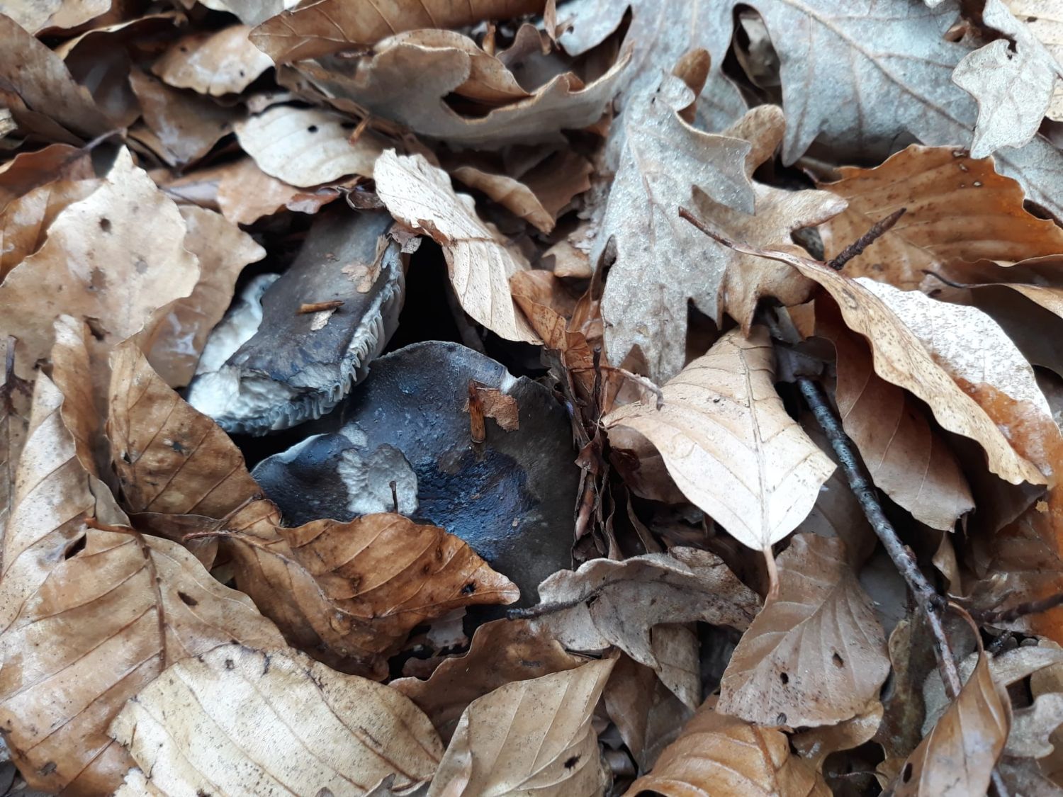 WhatsApp Image 2022-02-24 at 20.15.24.jpg