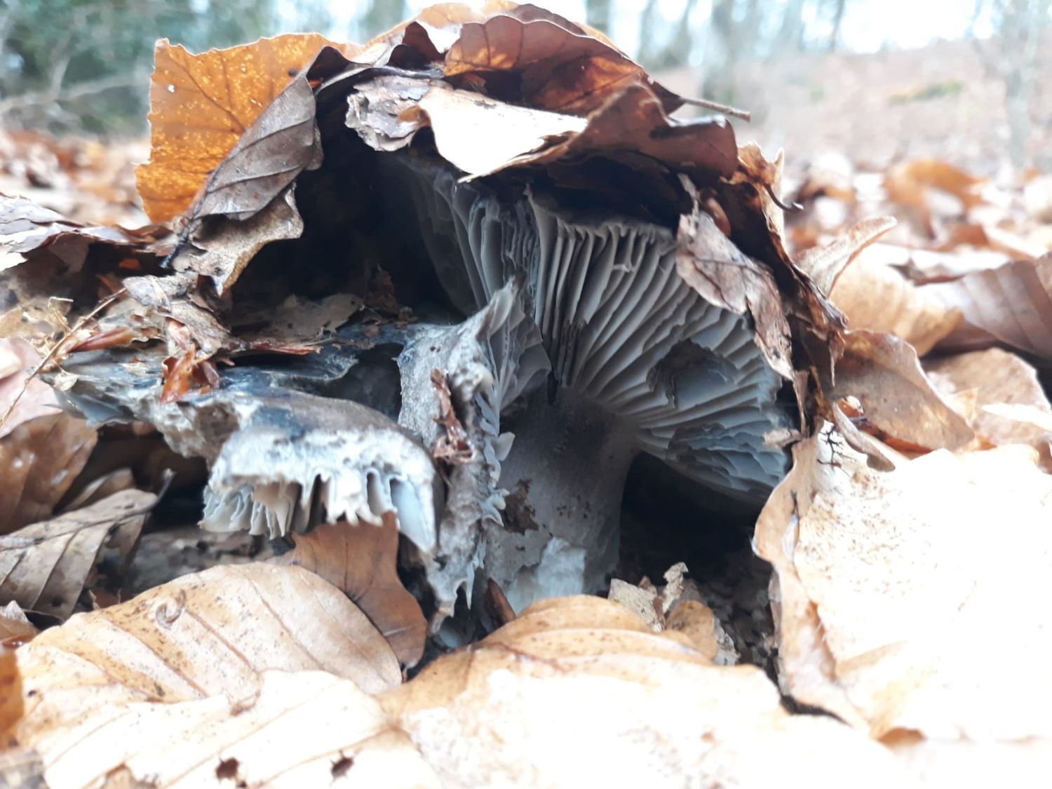 WhatsApp Image 2022-02-24 at 20.15.25.jpg