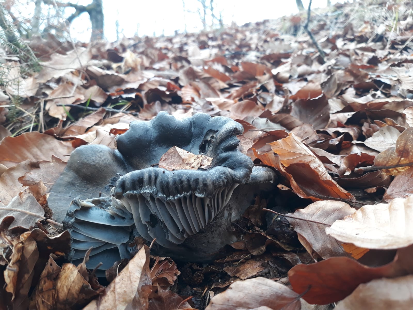 WhatsApp Image 2022-02-18 at 09.51.50.jpeg