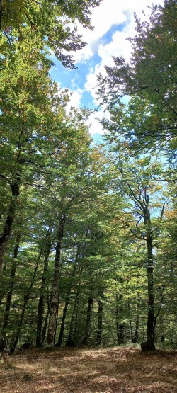 20251015_135955.jpg