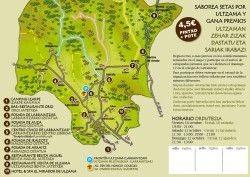 TRIPTICO DIA DEL HONGO 2025 B_page-0001.jpg