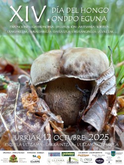 CARTEL Día del Hongo 2025.jpg