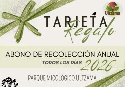 Tarjeta regalo pequeña.jpg
