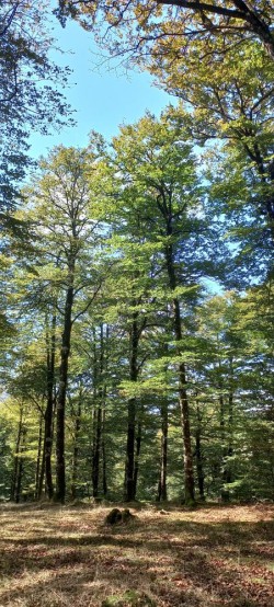 20250930_124115.jpg