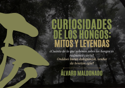 Curiosidades de los hongos mitos y leyendas.png