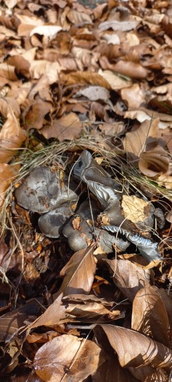 WhatsApp Image 2026-02-12 at 16.03.19 (3).jpeg