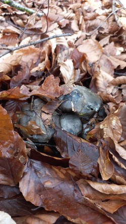 WhatsApp Image 2026-02-05 at 09.39.31 (1).jpeg