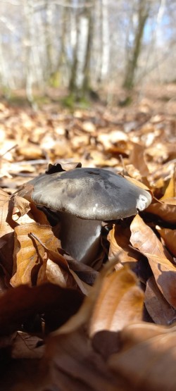 WhatsApp Image 2026-02-12 at 16.03.19 (1).jpeg