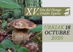 de los Hongos (1).png
