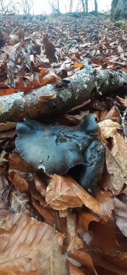 WhatsApp Image 2026-02-05 at 11.07.21 (2).jpeg