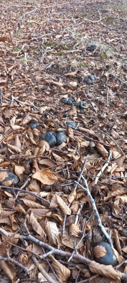 WhatsApp Image 2026-02-12 at 16.02.24.jpeg