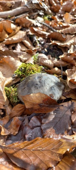 WhatsApp Image 2026-02-12 at 16.03.20 (1).jpeg