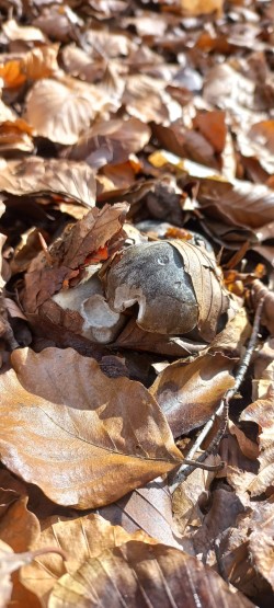 WhatsApp Image 2026-02-12 at 16.03.22 (4).jpeg