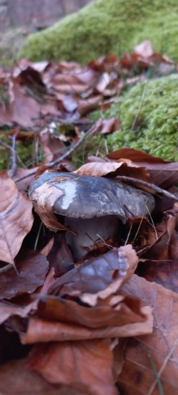 WhatsApp Image 2026-02-05 at 09.39.29 (1).jpeg