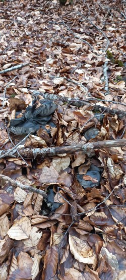 WhatsApp Image 2026-02-05 at 09.39.40 (1).jpeg