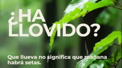 Imagen6.png