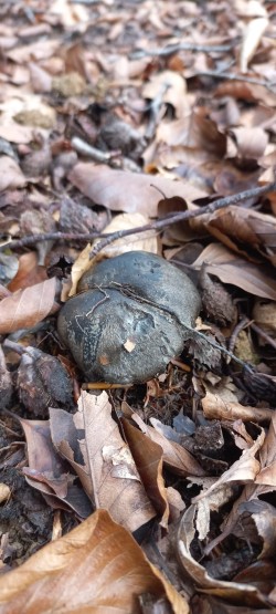 WhatsApp Image 2026-02-05 at 09.39.51.jpeg