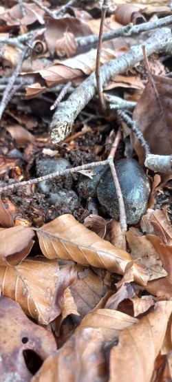 WhatsApp Image 2026-02-05 at 09.39.57.jpeg