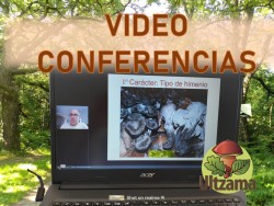Videoconferencias.jpg