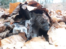 WhatsApp Image 2022-02-24 at 20.15.25.jpg