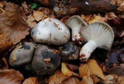 WhatsApp Image 2022-02-24 at 20.15.27 (1).jpg