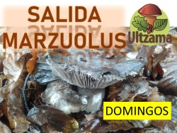 MARZUOLUS DOMINGOS.jpg